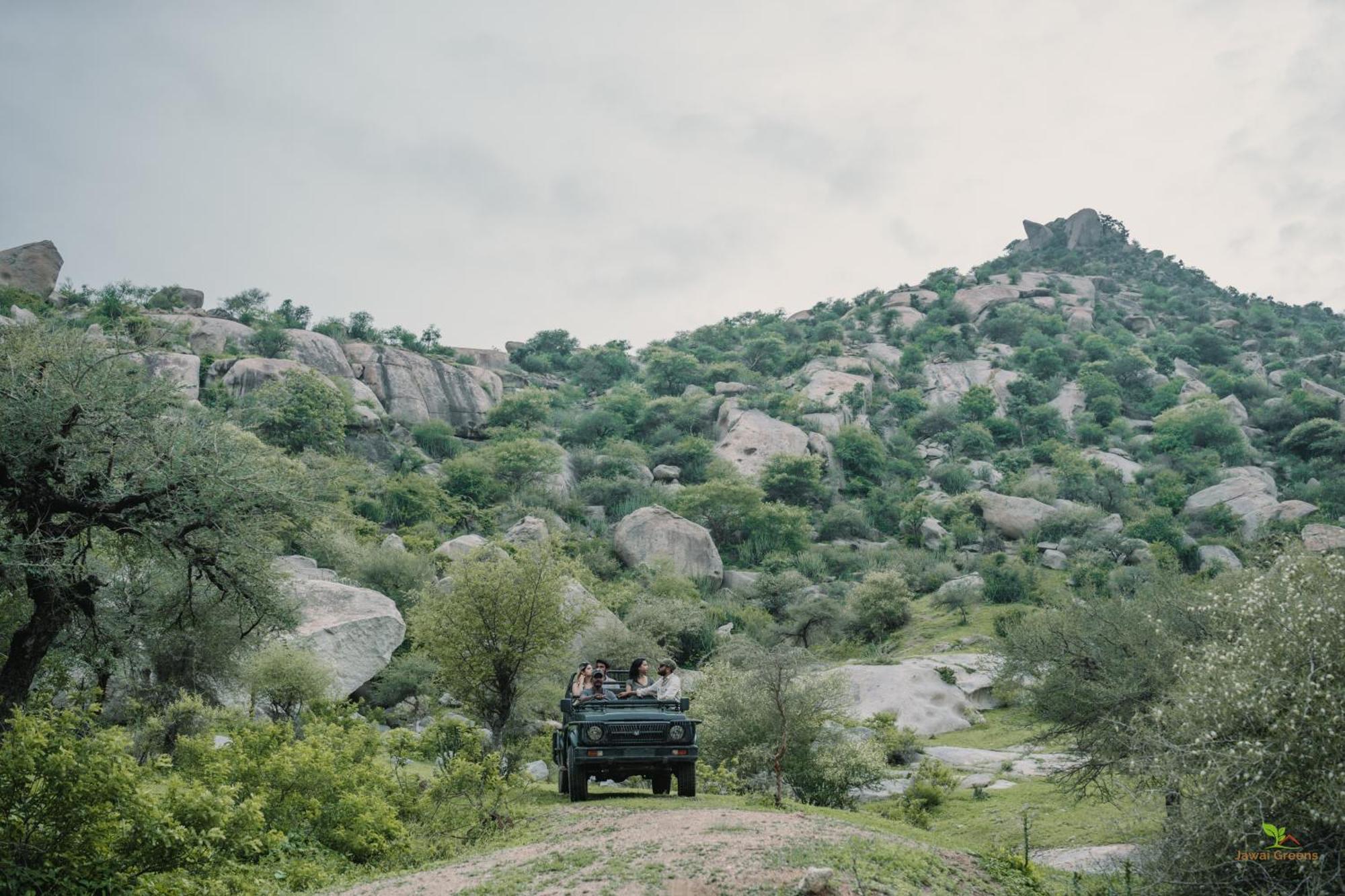 Jawai Bandh Jawai Greens מראה חיצוני תמונה
