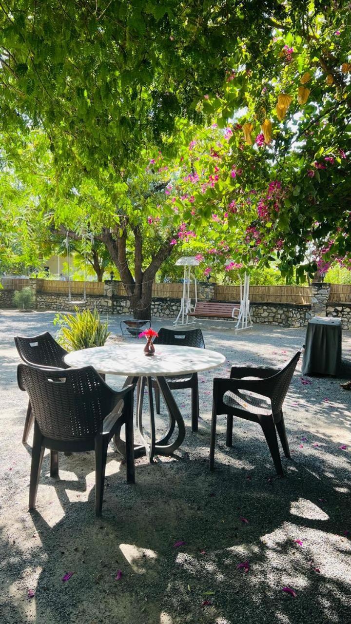 Jawai Bandh Jawai Greens מראה חיצוני תמונה